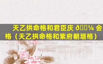 天乙拱命格和君臣庆 🐼 会格（天乙拱命格和紫府朝垣格）